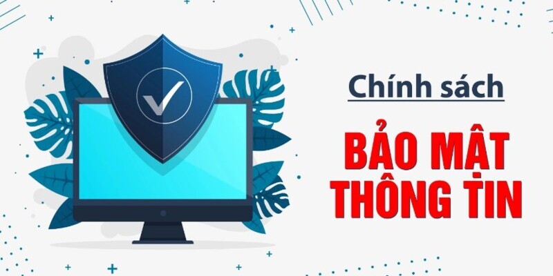 Tổng hợp chính sách bảo mật tylekeo5.vip